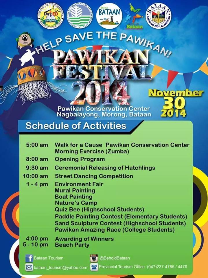Pawikan (Sea Turtle) Festival 2014 Flyer